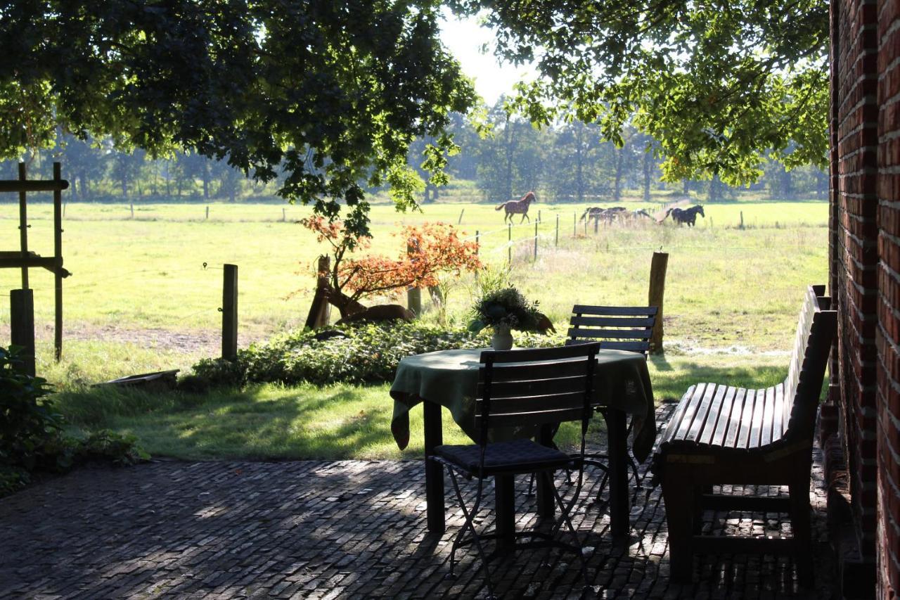 Ferienhaus Auf Gut Sautmannshausen Haselünne Eksteriør bilde