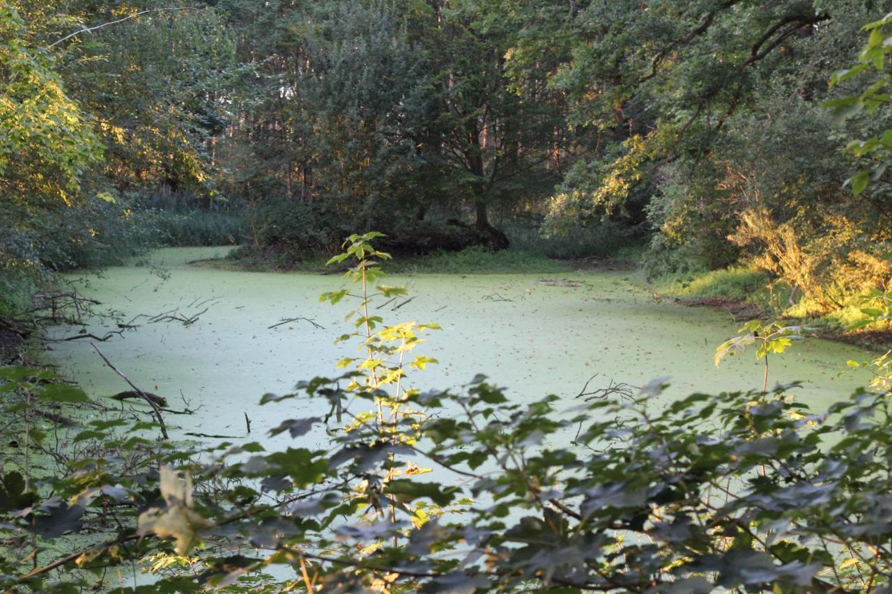 Ferienhaus Auf Gut Sautmannshausen Haselünne Eksteriør bilde